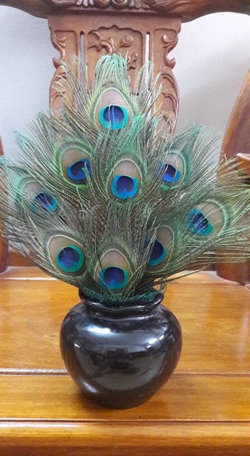 30 lông công 68cm LOẠI 1, to đẹp | BigBuy360 - bigbuy360.vn