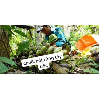 💥HẠT CHUỐI HỘT RỪNG (gói 1.000gr )