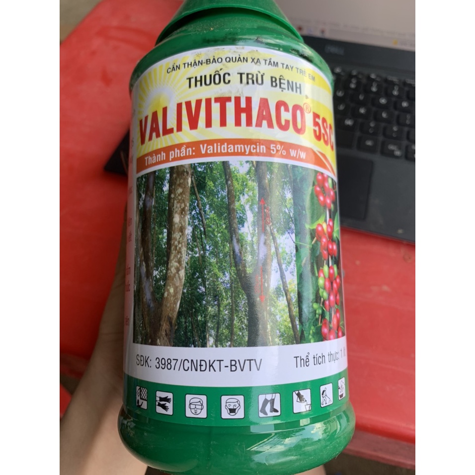 Thuốc Trừ Bệnh Valivithaco 5SC khô vằn, chết ẻo