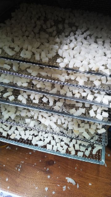 Dừa viên sấy dẻo không đường chuẩn keto/das 500g