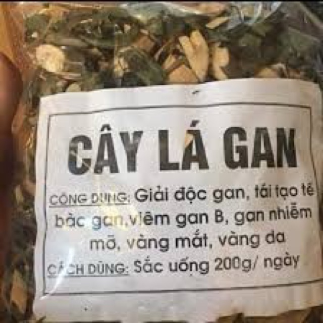 Cây lá gan 1 kg giải độc gan