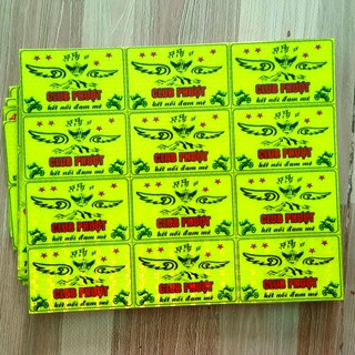 1 LOGO CLUB PHƯỢT PHẢN QUANG TEM XE TEM MŨ