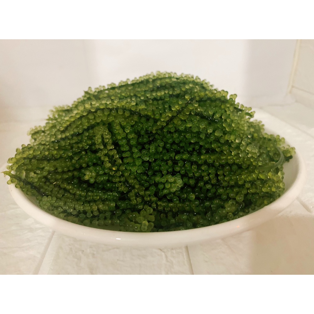 Rong nho tách nước SEASON FOOD 1kg  giá sỉ siêu nở date mới