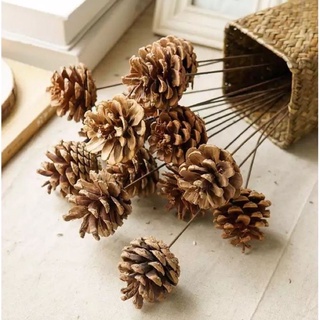 Cành thông khô/ Quả thông khô/ Decor cắm hoa