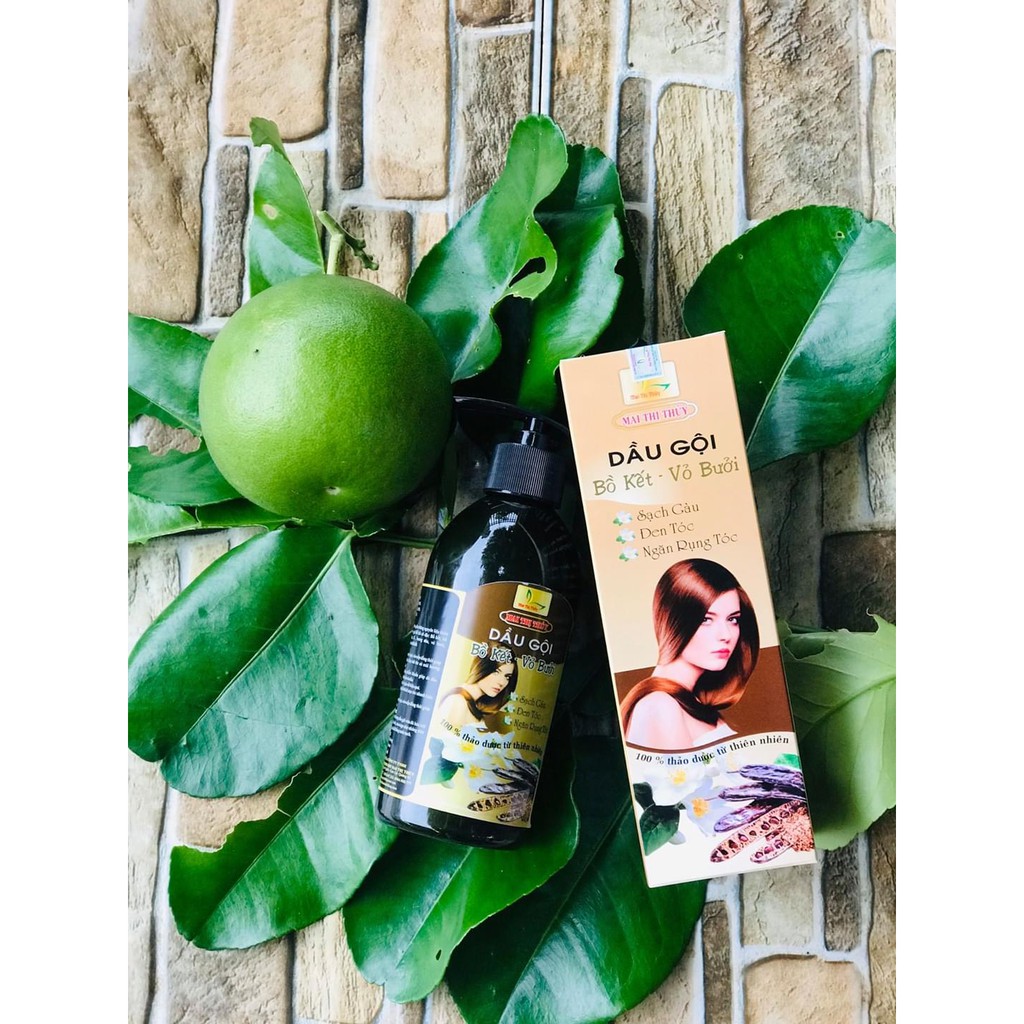 Combo 2 Chai Dầu Gội Bồ Kết Võ Bưởi 300ml - Kích thích mọc tóc, ngăn ngừa rụng tóc hiệu quả