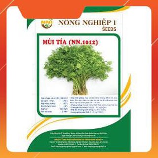 HẠT GIỐNG MÙI TÍA CAO SẢN