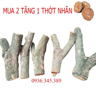 4 khúc gỗ 3 chạc ghép lan, đường kinh 7-10 cm, dài 35-50 cm