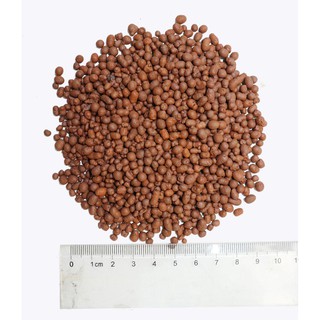 Đất Nung Popper Size S/M Túi 1000g