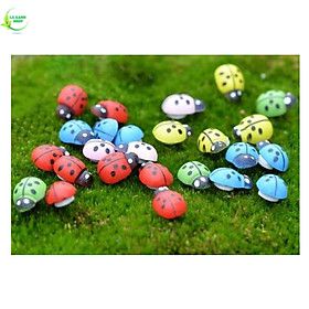 Tiểu Cảnh Bọ Cánh Cứng, Phụ kiện bọ cánh cứng trang trí sân vườn, chậu kiểng