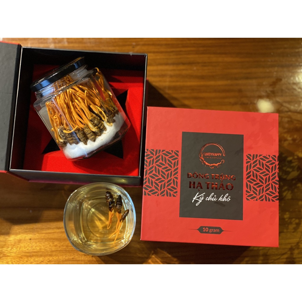 Set Quà Tặng Đông Trùng Hạ Thảo Nguyên Con Ký Chủ Nhộng CordyHappy 10g, ĐTHT Khô Sấy Thăng Hoa CordyHappy12.5g