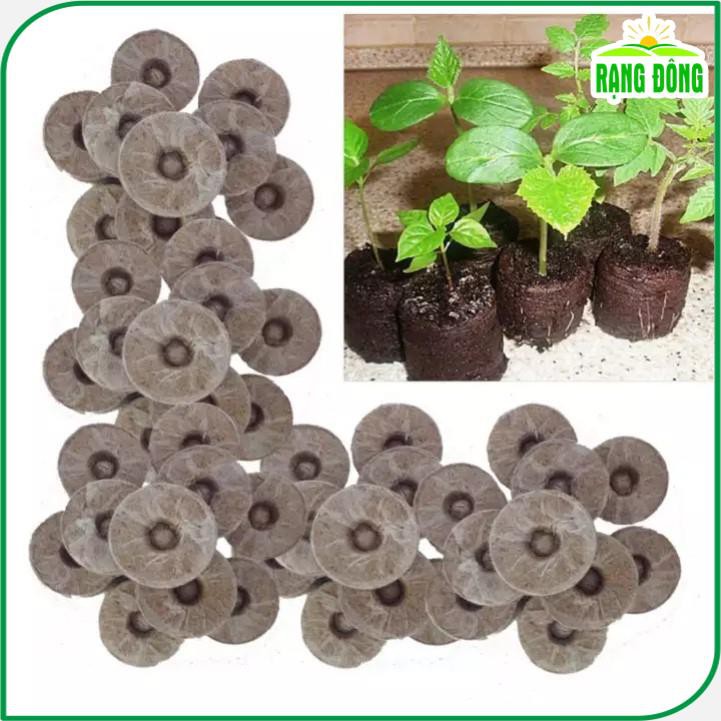 Viên nén xơ dừa ươm Hạt giống  viên nén sơ dừa tiện dụng, nảy mầm tốt hơn, sạch 100% - Hạt giống Rạng Đông