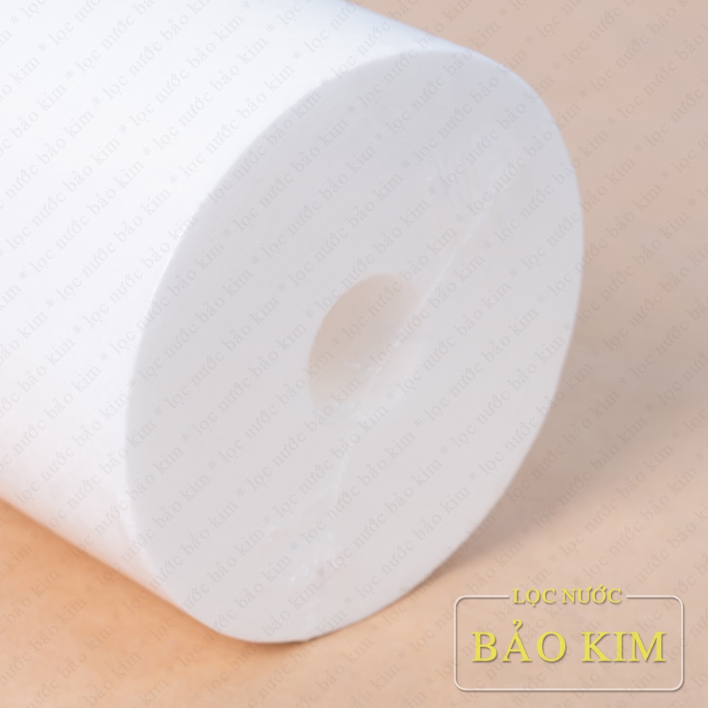 Lõi lọc thô Bigblue 10 inch dùng cho cốc béo 10 inch SMY