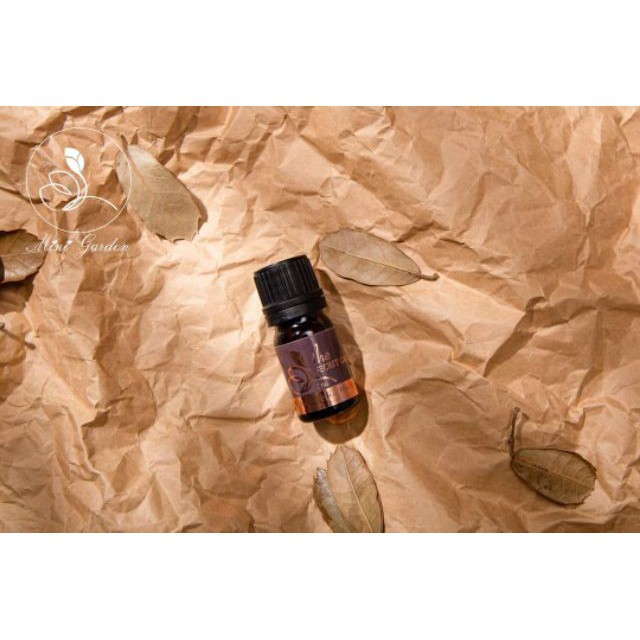 Nước Hoa Thu Hút MINIGARDEN The Secret Garden Perfume 5ml Hàng Cao Cấp