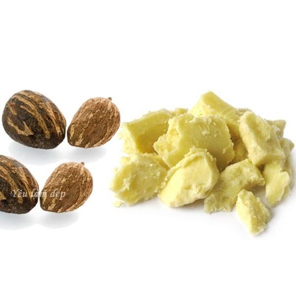 Bơ Hạt Mỡ (Shea butter)