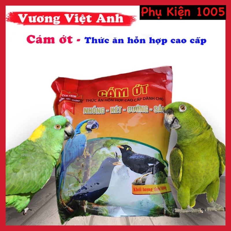 Cám ớt dành cho chim Nhồng, Sáo, Két Vương Việt Anh