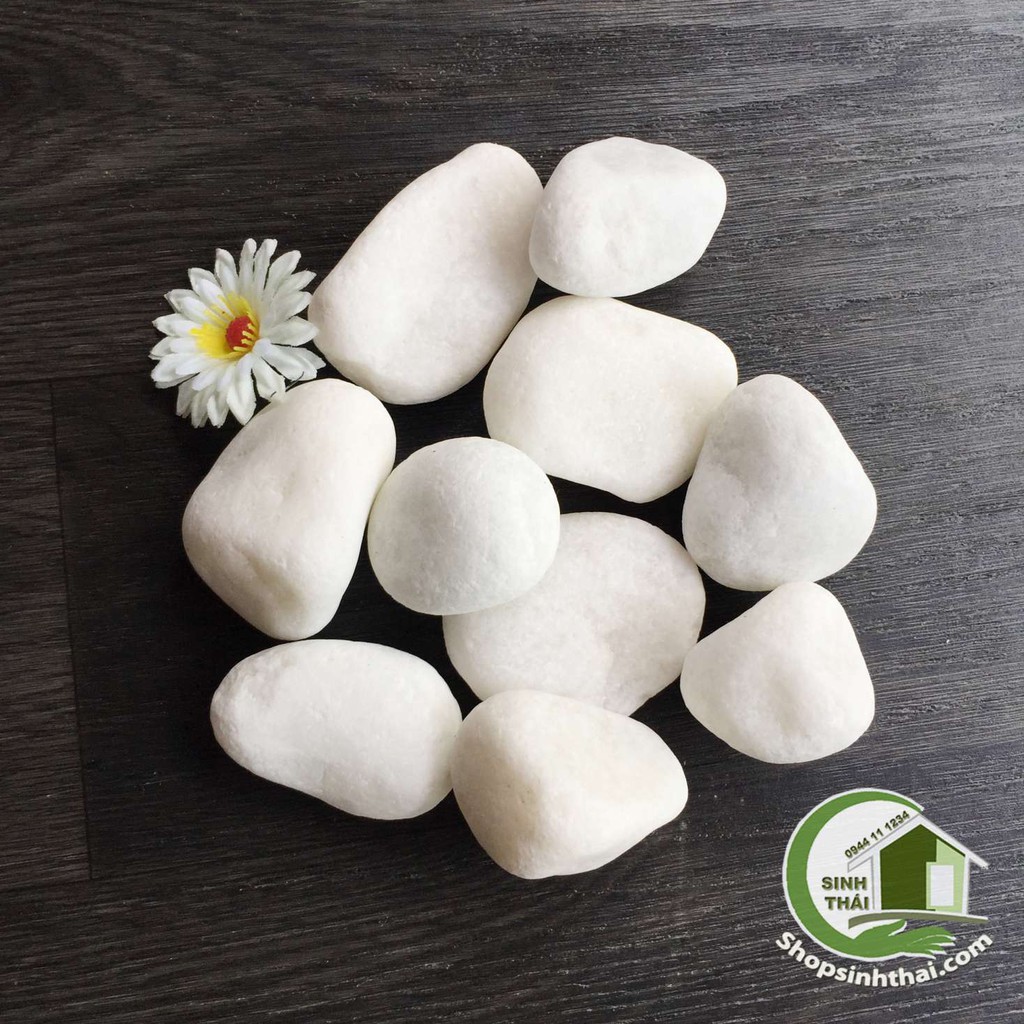 1kg đá sỏi trắng viên lớn, cỡ đại trang trí sân vườn, bể cá, chậu cây, chặn giấy trên bàn