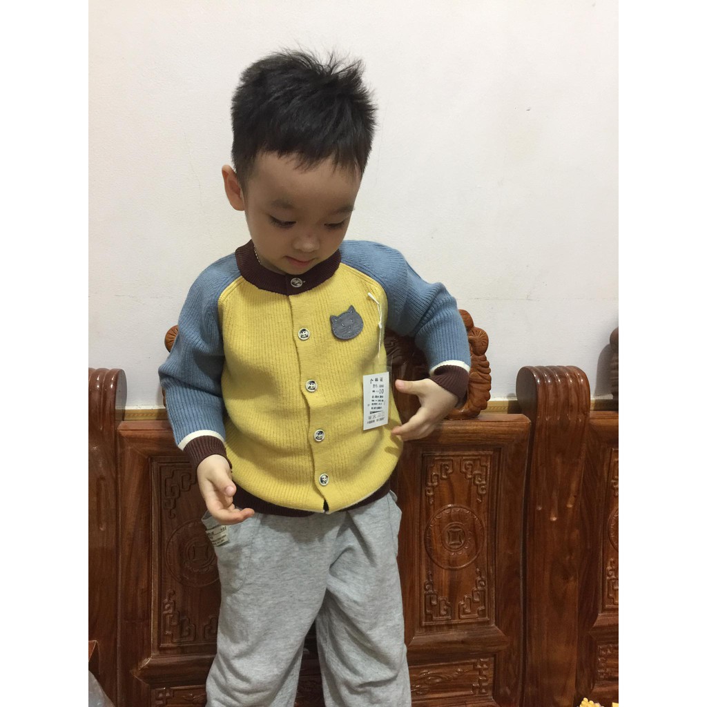 Áo len  bé trai hàng cao cấp (nội địa Trung 1-5y)