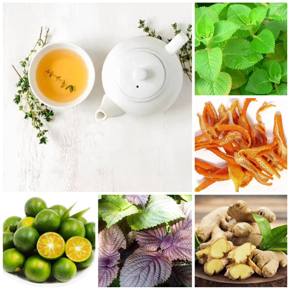 Trà Hòa Tan Húng Chanh Trần Bì Hygie & Panacee Giảm Ho Thanh Giọng Tăng Đề Kháng