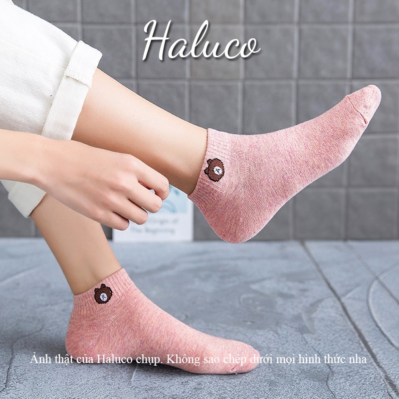 Tất gấu cổ ngắn Hàn Quốc,Tất nữ cổ ngắn xinh xắn Haluco accessories TN03