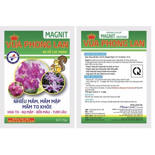 Vua phong lan magnit