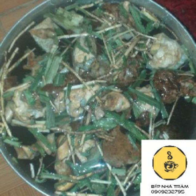 Sâm bí đao - set 5 loại nguyên liệu hảo tốc Hcm | BigBuy360 - bigbuy360.vn