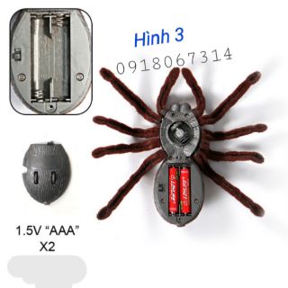 Côn trùng điều khiển từ xa