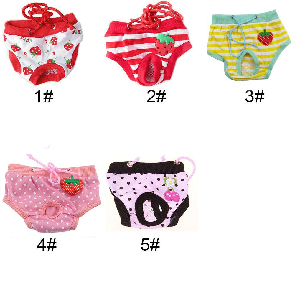 Quần chíp chó mèo