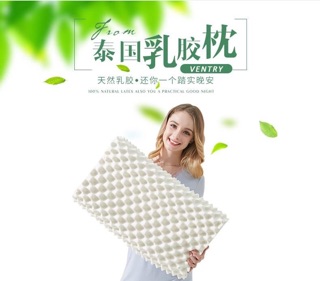 Gối cao su non cao cấp Ventry