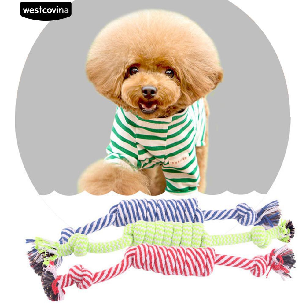 Đồ chơi nhai gặm dây thừng thắt nút cho thú cưng