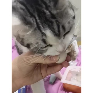 1 Viên Pudding Sữa Dê 15g
