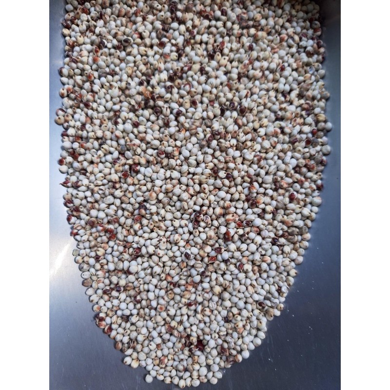 Hạt bo bo trắng 1kg