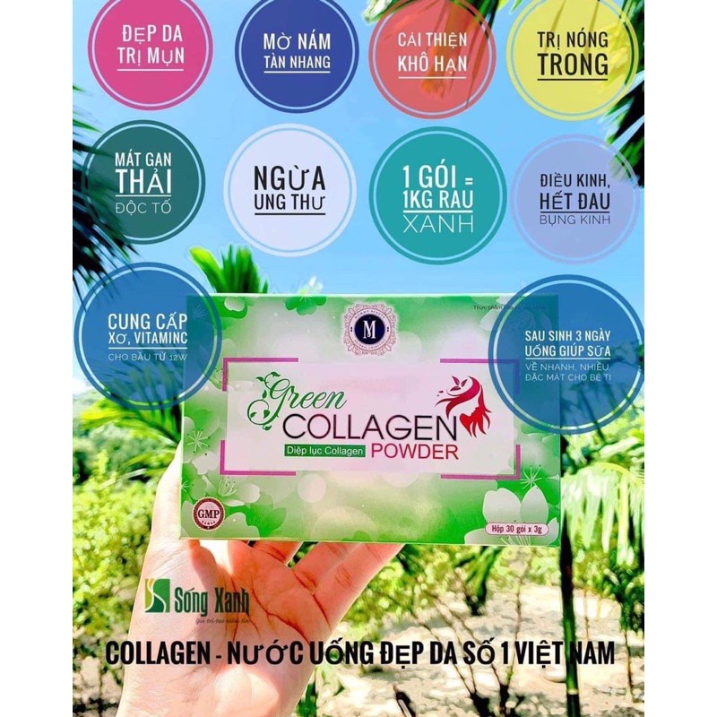 Diệp lục collagen powder
