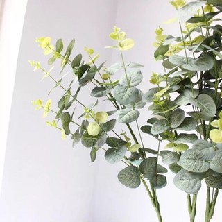 Cụm lá táo mốc