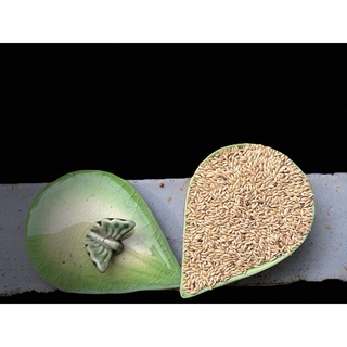 HẠT LÁNG DÀI cho hamster ăn dặm