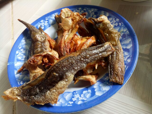 Khô cá lóc Cửng