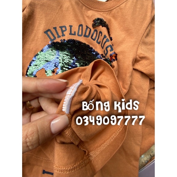 Áo Phông Bé Trai Khủg Long Sequin Nâu Cam HaM