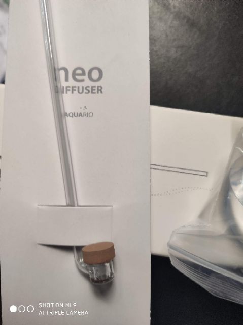 Sủi Neo size S