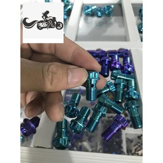 Ốc heo dầu titan gr5 gắn thông dụng các loại xe