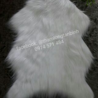 Thảm gấu chụp hình size 60x90cm