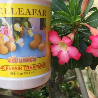 Hấp dầu Trứng Gà Belleafar 1000 ml