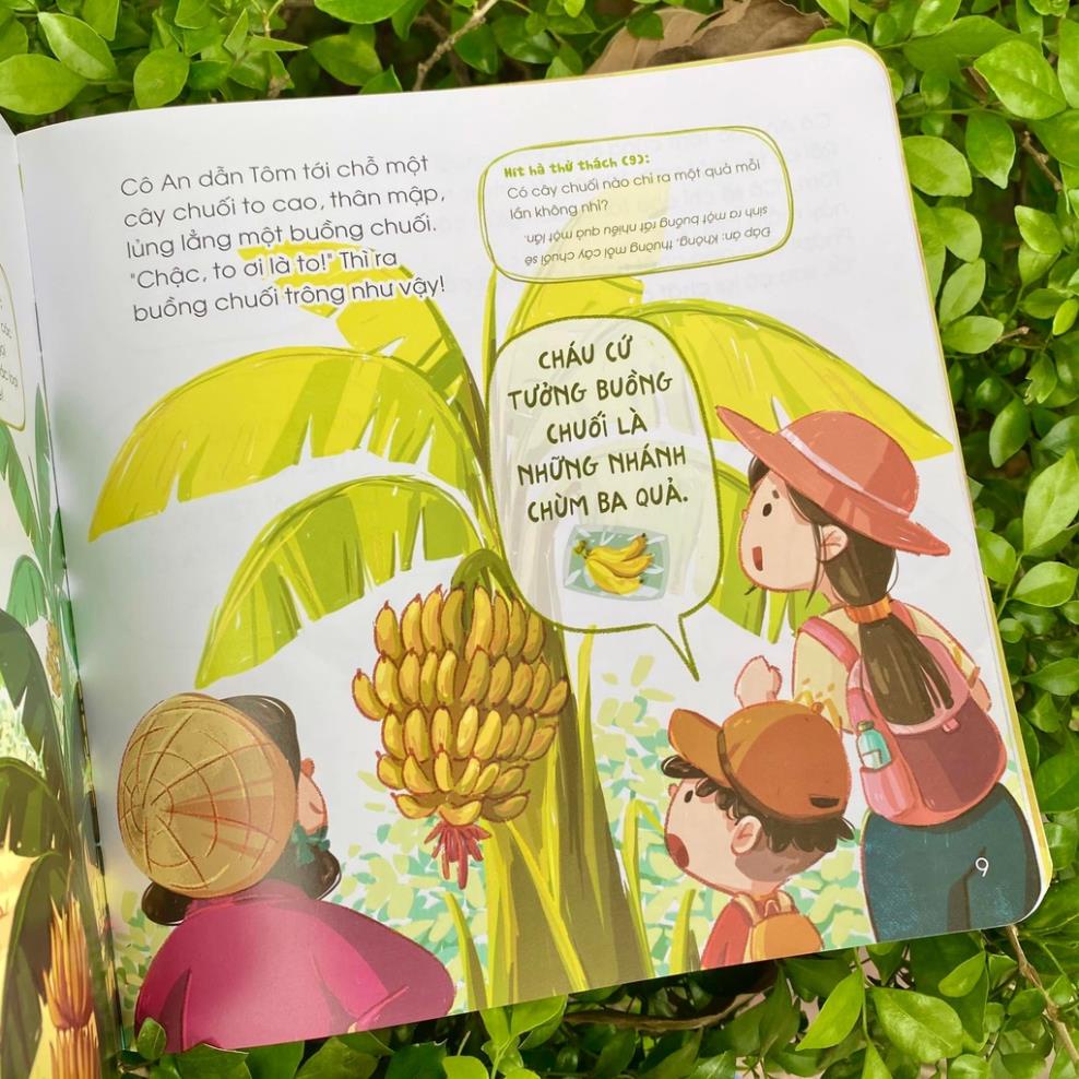 Sách - Bộ Hít hà mùi đất nước (06 cuốn lẻ) ( Nhã Nam )