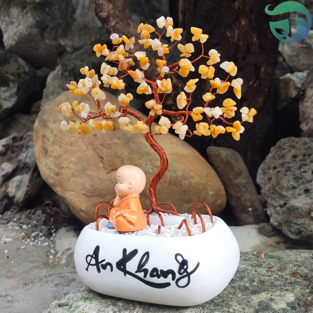 Cây đá jade vàng bonsai trang trí phòng khách kệ tủ