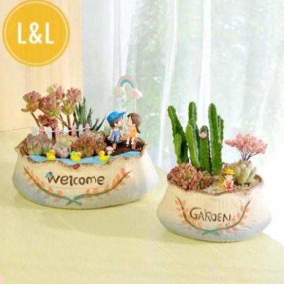 Tiểu cảnh mini- Bọ cánh cứng làm phụ kiện trang trí sen đá, xương rồng, terrarium, cây cảnh để bàn, cây mini