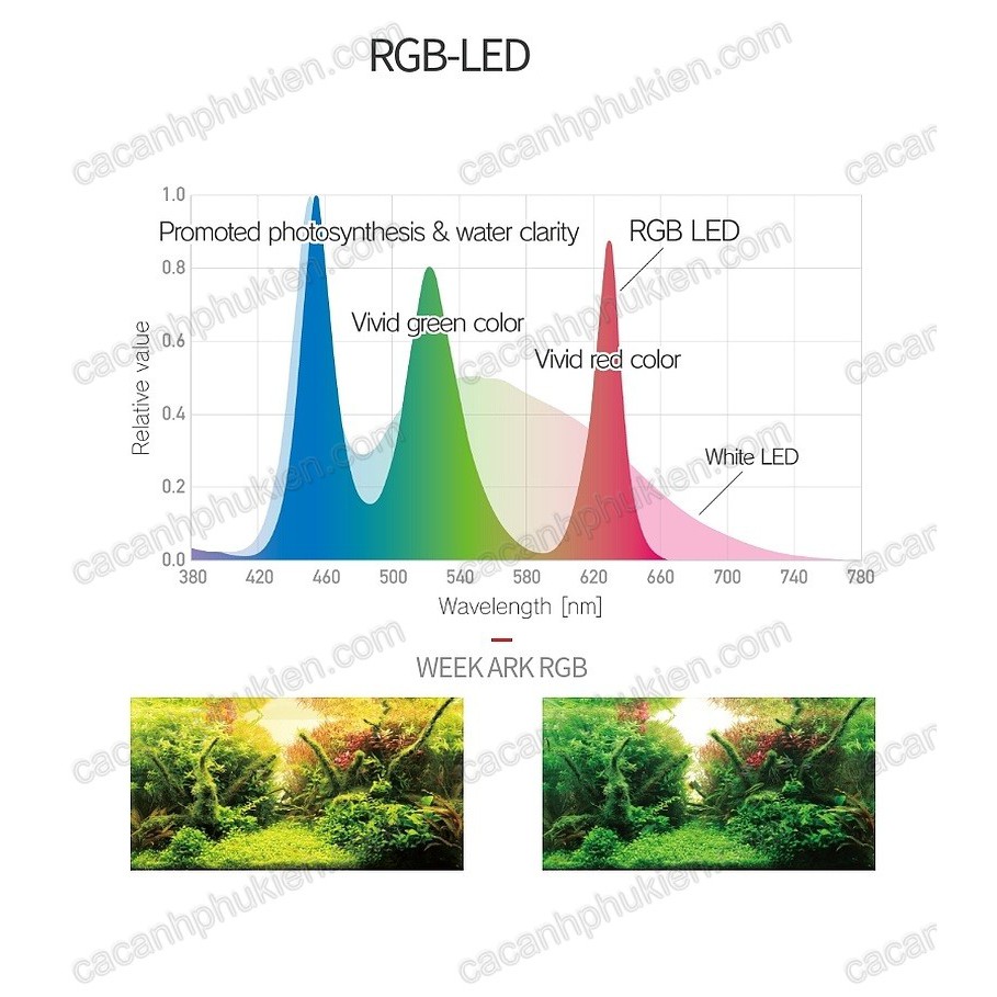 Đèn led thủy sinh Week  Ark