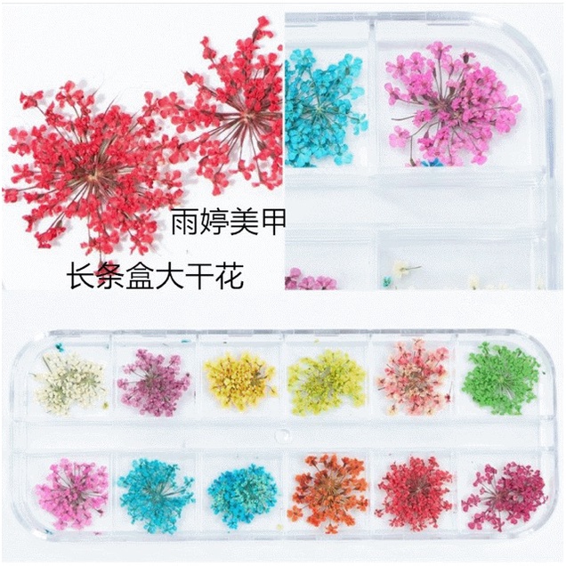 hoa khô nhí pháo bông trang trí 24 ô