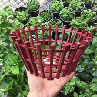 Chậu Nhựa Lan Giả Gỗ Fi23 đỏ nâu