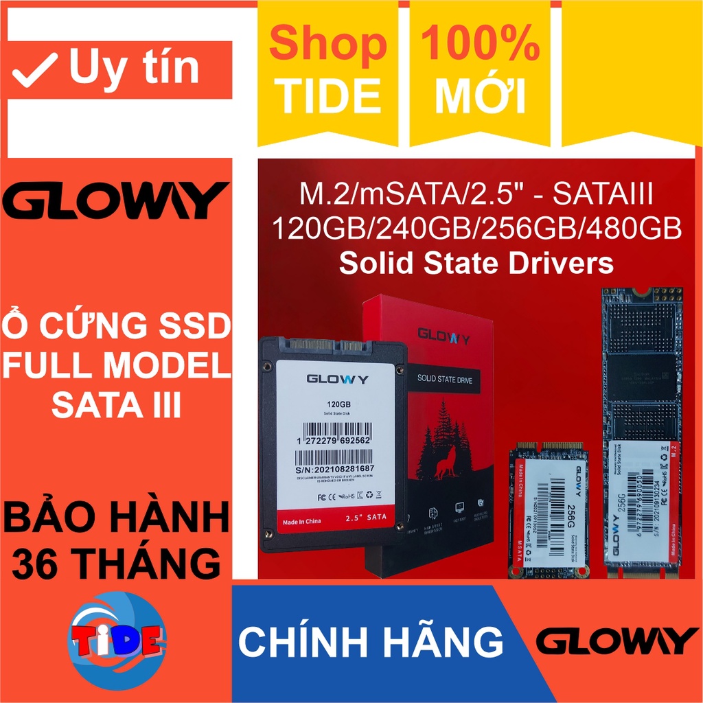 Ổ cứng SSD Gloway (SATA III) các model M2 / mSATA / 2.5” – CHÍNH HÃNG – Bảo hành 3 năm