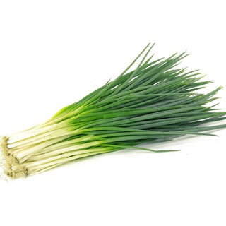 Hạt giống cây hành - độ nảy mầm cao