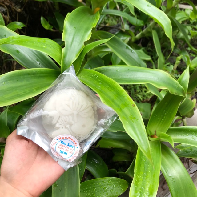 Bánh dẻo nhân thập cẩm