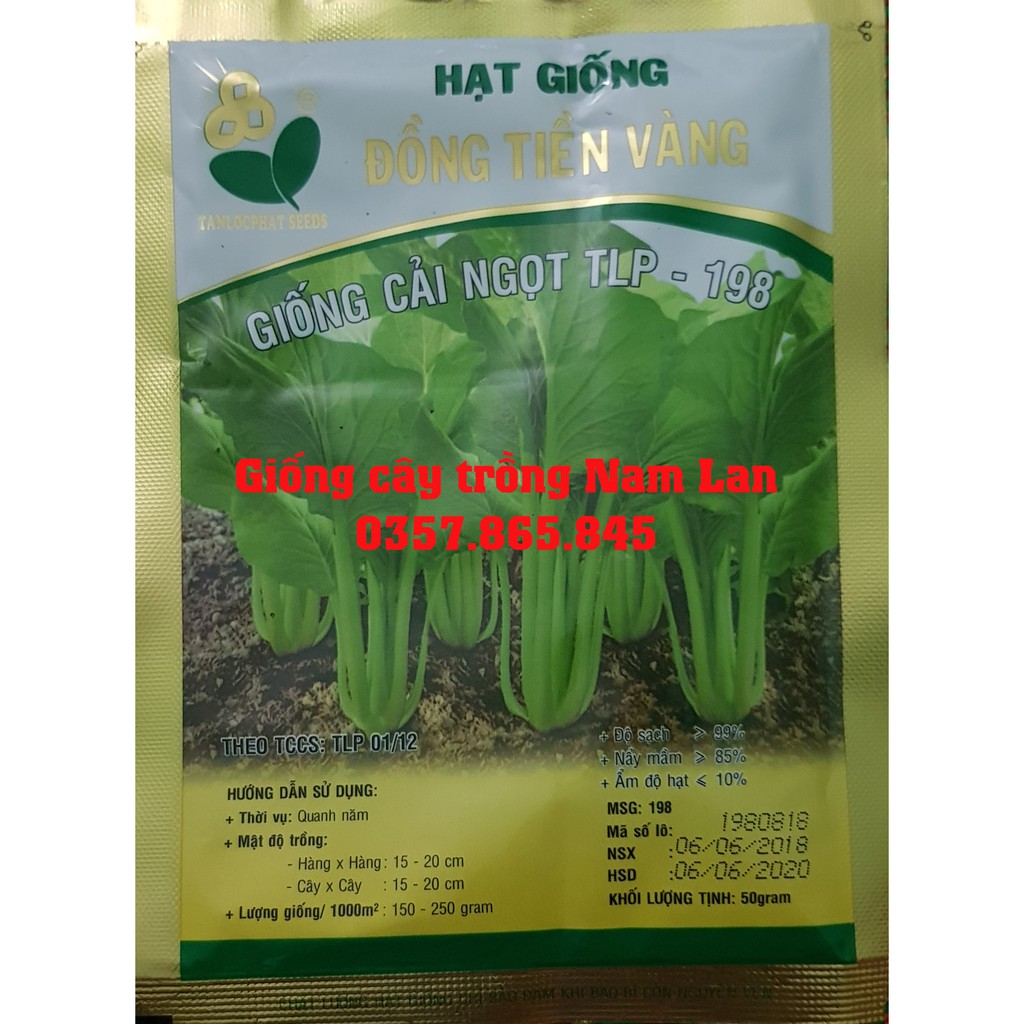 HẠT GIỐNG CẢI NGỌT TLP-198, ĐỒNG TIỀN VÀNG ( Gói 50g )